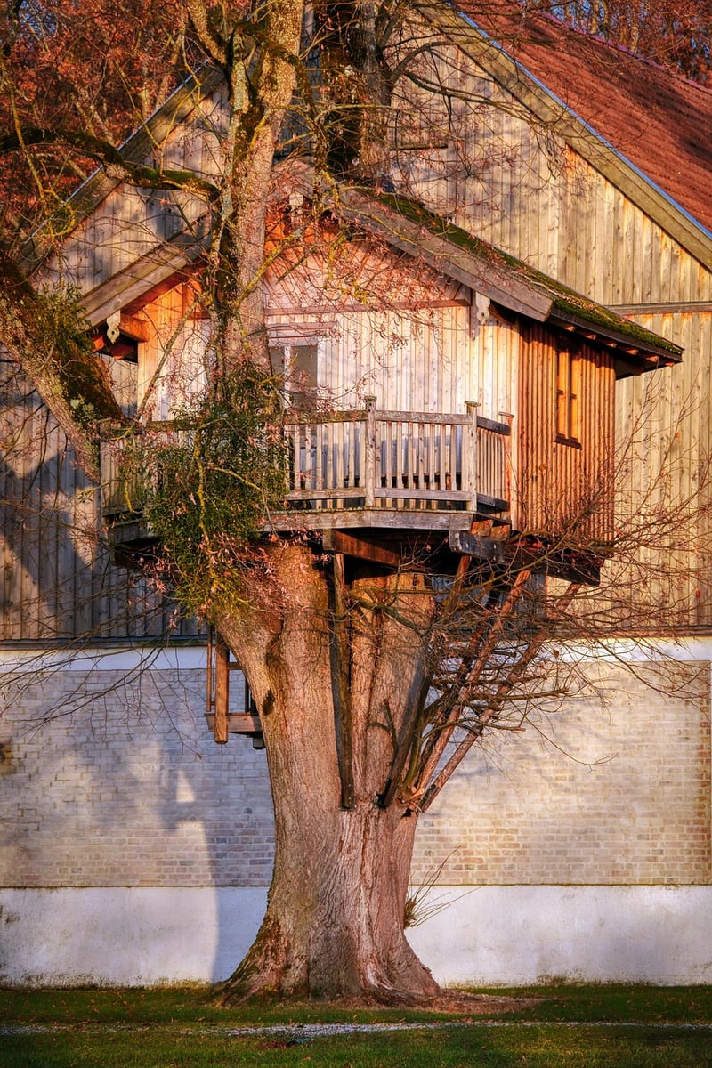 Treehouses